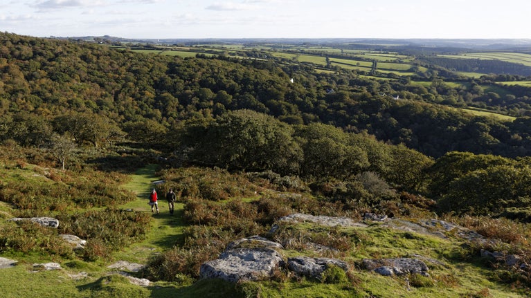 Two walkers on a grassy trail amid scrub and rocky outcrops, near Cadover Bridge, Upper Plym Valley, Dartmoor National Park, Devo